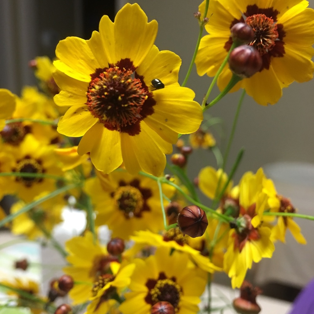 Meet your Posher, Gayle